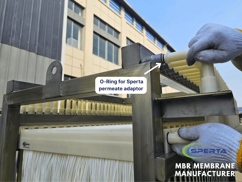 Sperta MBR adaptor O-ring Position