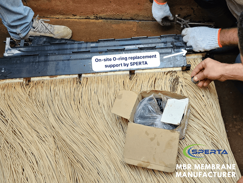 Sperta provide O-ring Replacement Services