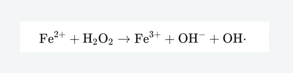 Fenton Reaction Formula