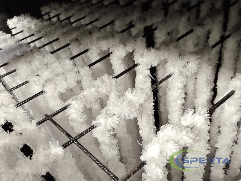 Top view of Bio-Cord bundles suspended in the tank