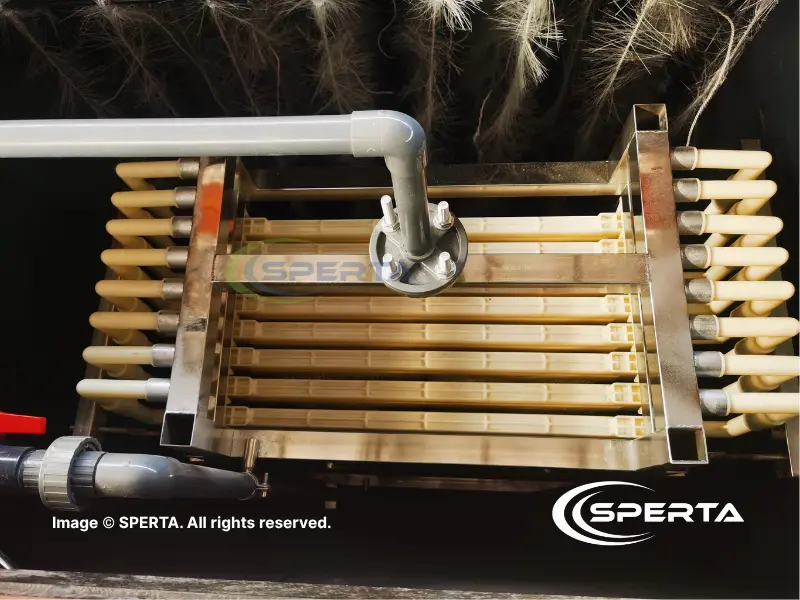 DualPort MBR membrane field