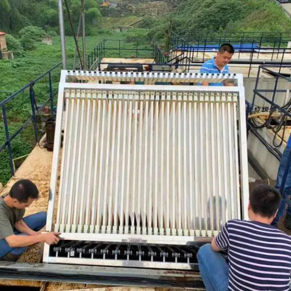 DualPort MBR membrane field