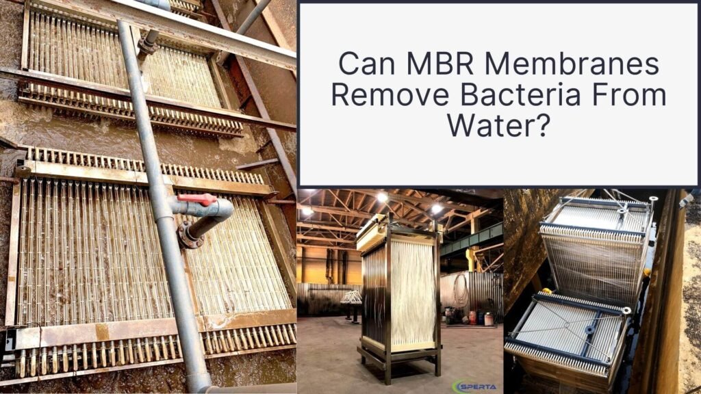 Can MBR membranes remove bacteria from water
