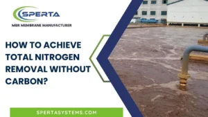 How to Achieve Total Nitrogen Removal without Carbon